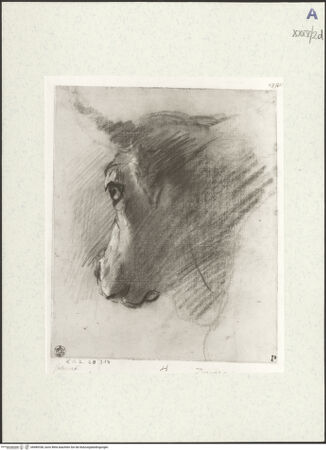 Vorderseite von bh489338_recto