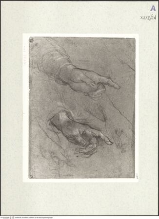 Vorderseite von bh489339_recto