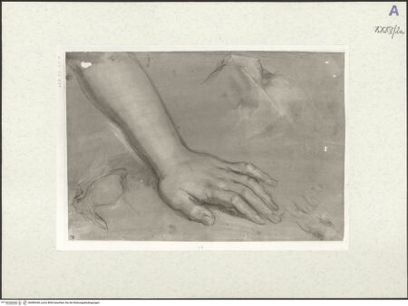 Vorderseite von bh489340_recto