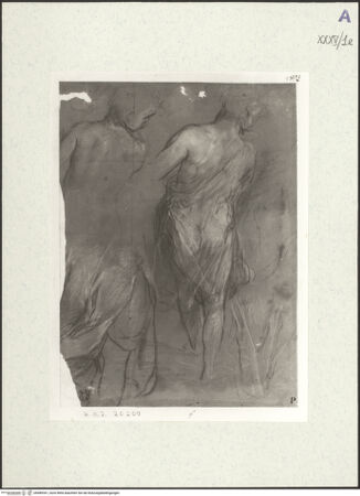 Vorderseite von bh489341_recto