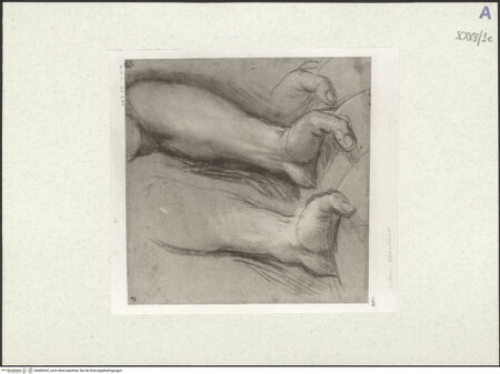 Vorderseite von bh489342_recto