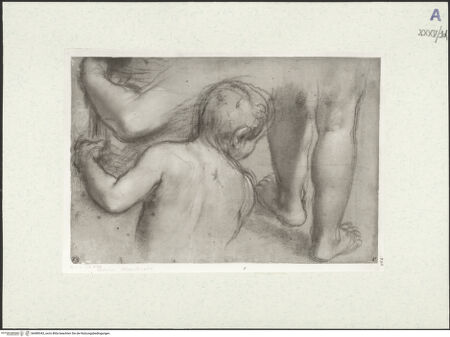 Vorderseite von bh489343_recto