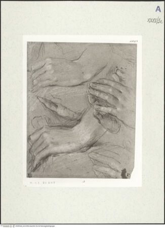 Vorderseite von bh489344_recto