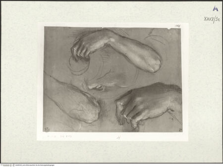 Vorderseite von bh489345_recto