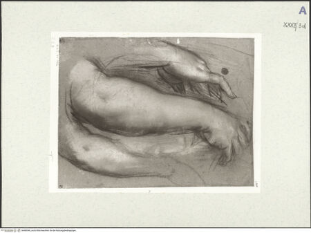 Vorderseite von bh489346_recto