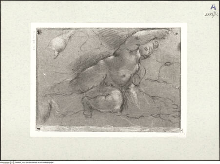 Vorderseite von bh489348_recto