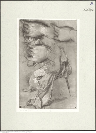 Vorderseite von bh489349_recto