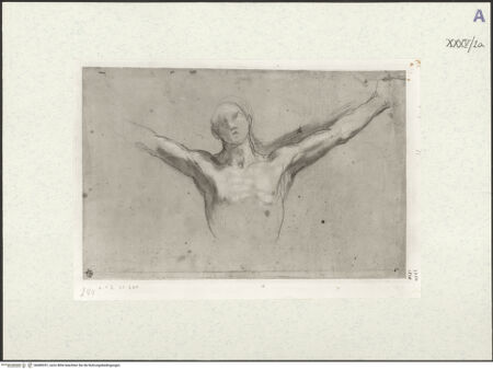 Vorderseite von bh489351_recto