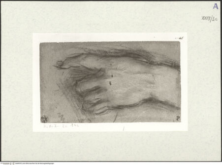 Vorderseite von bh489353_recto