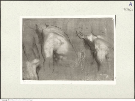 Vorderseite von bh489354_recto