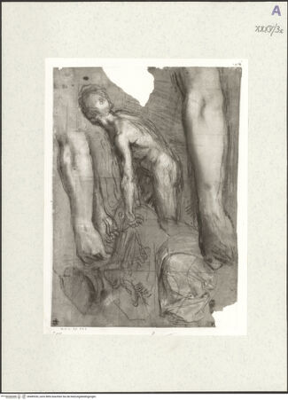 Vorderseite von bh489355_recto