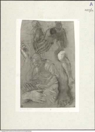 Vorderseite von bh489356_recto