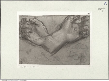 Vorderseite von bh489357_recto