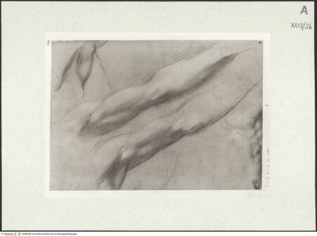 Vorderseite von bh489358_recto