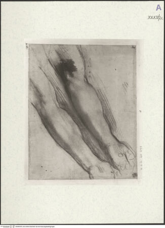 Vorderseite von bh489359_recto