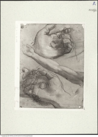 Vorderseite von Sopr. BAS Roma [https://www.deutsche-digitale-bibliothek.de/content/lizenzen/rv-ez/] Kapellendekoration mit Stifterinschrift - , bh489360_recto. Foto.