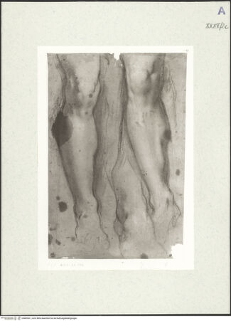 Vorderseite von bh489361_recto