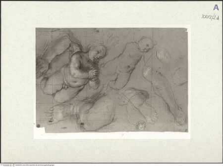 Vorderseite von bh489363_recto