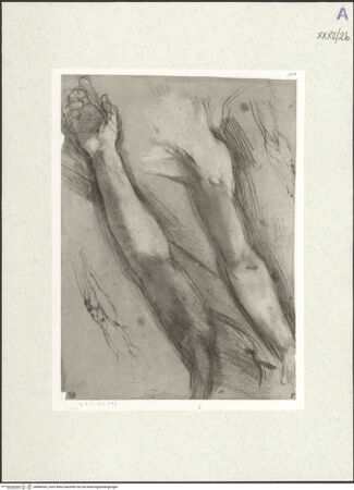 Vorderseite von bh489365_recto