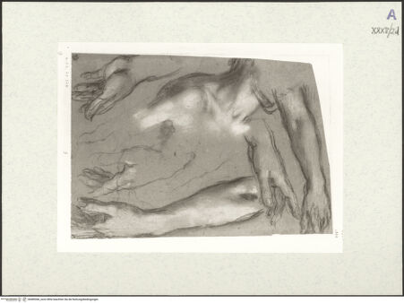 Vorderseite von bh489366_recto