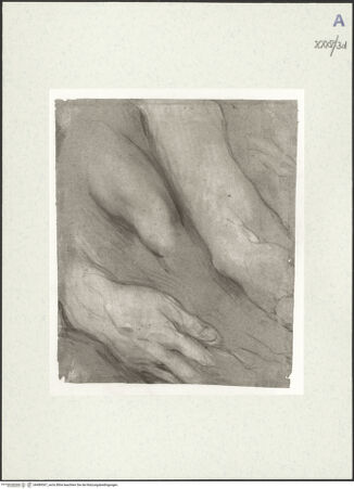 Vorderseite von bh489367_recto