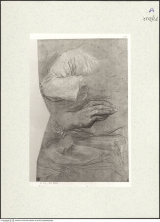 Vorderseite von bh489370_recto