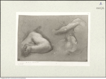 Vorderseite von bh489371_recto