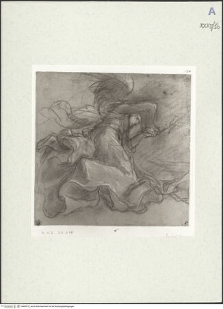 Vorderseite von bh489372_recto