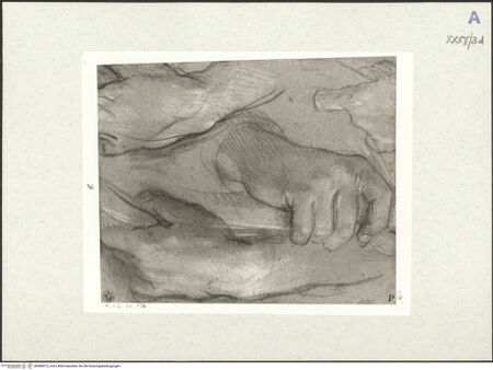 Vorderseite von bh489373_recto