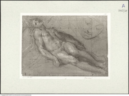 Vorderseite von bh489375_recto