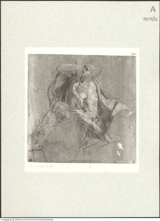 Vorderseite von bh489376_recto