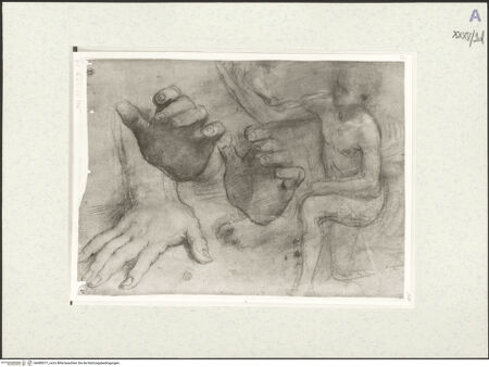 Vorderseite von bh489377_recto