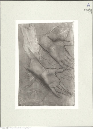 Vorderseite von bh489380_recto