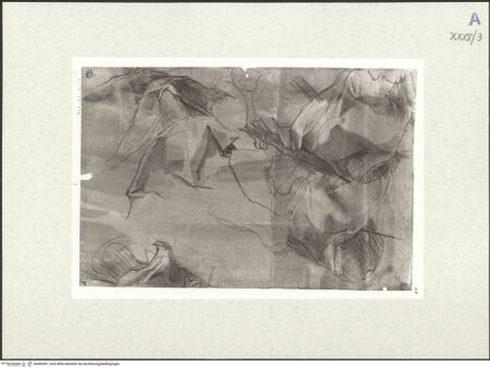 Vorderseite von bh489381_recto