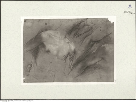 Vorderseite von bh489383_recto