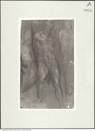 Vorderseite von bh489384_recto