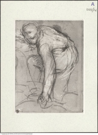 Vorderseite von bh489386_recto