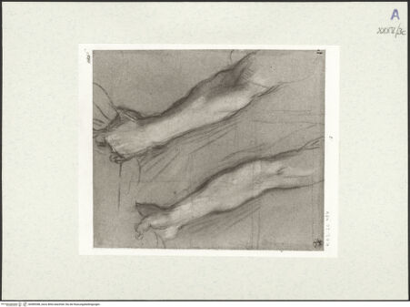 Vorderseite von bh489388_recto