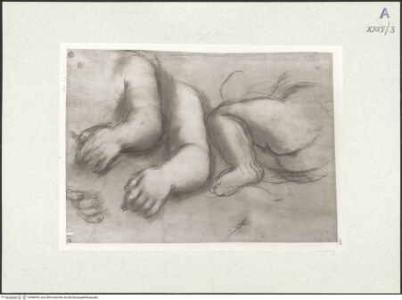 Vorderseite von bh489390_recto