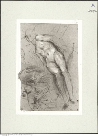 Vorderseite von bh489391_recto