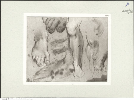 Vorderseite von bh489392_recto