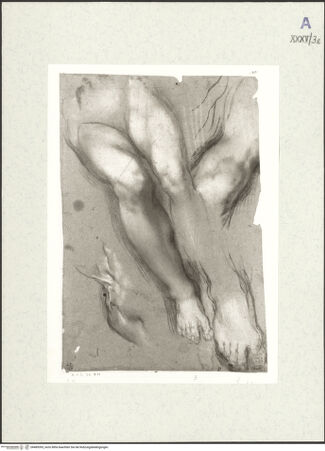 Vorderseite von bh489393_recto