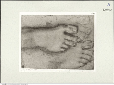 Vorderseite von bh489394_recto