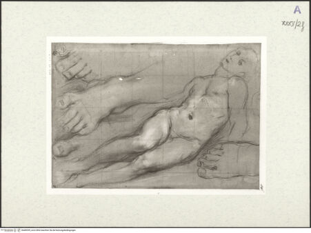 Vorderseite von bh489395_recto