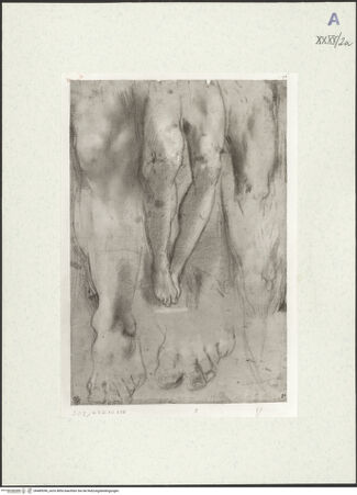 Vorderseite von bh489396_recto