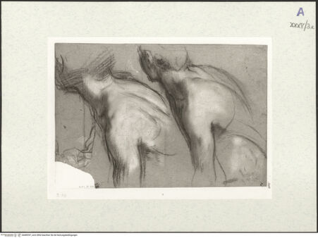 Vorderseite von bh489397_recto