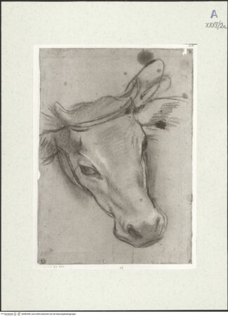 Vorderseite von bh489398_recto