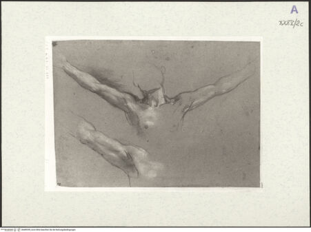 Vorderseite von bh489399_recto