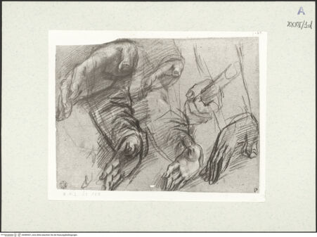 Vorderseite von bh489401_recto