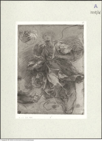 Vorderseite von bh489403_recto